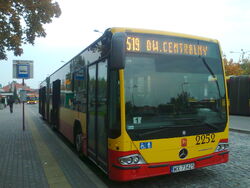 519Wilanów