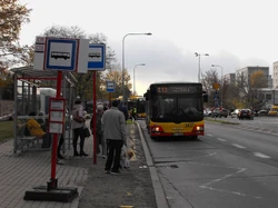 C13 (Cm.Bródnowski (Balkonowa), 2022)