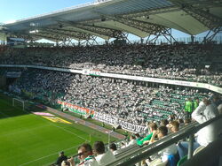 Zyleta (Legia)