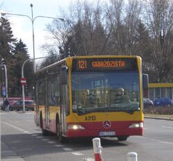 Plac Wilsona (autobus 121)