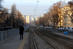 Ulica Mickiewicza (rejon )