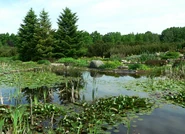 Ogród Botaniczny PAN
