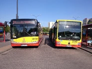 Autobus Solaris Urbino 18 (po lewej) na linii Z-1 na pętli Metro Wilanowska