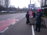 Zastępczy przystanek nr 54, był zlokalizowany około 60 metrów przed nr 04 (2015)