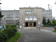 Instytut Reumatologiczny