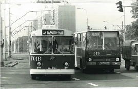 Trolejbus (linia 51)