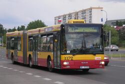 Autobus  na linii 503 w  ()