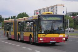 Dolina Sluzewiecka (autobus 503)