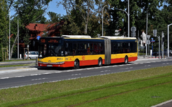 LINIA 509 D