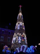 Iluminacja Plac Zamkowy.jpg (1,14 MB) Zimowa iluminacja na Placu Zamkowym w grudniu 2013 roku