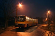 Autobus linii N72 na pętli Aleksandrów