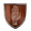 Prof-Bouncer-Icon