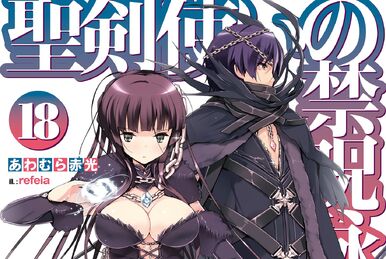 Seiken Tsukai no World Break Light Novel Volume 12 | Seiken Tsukai 