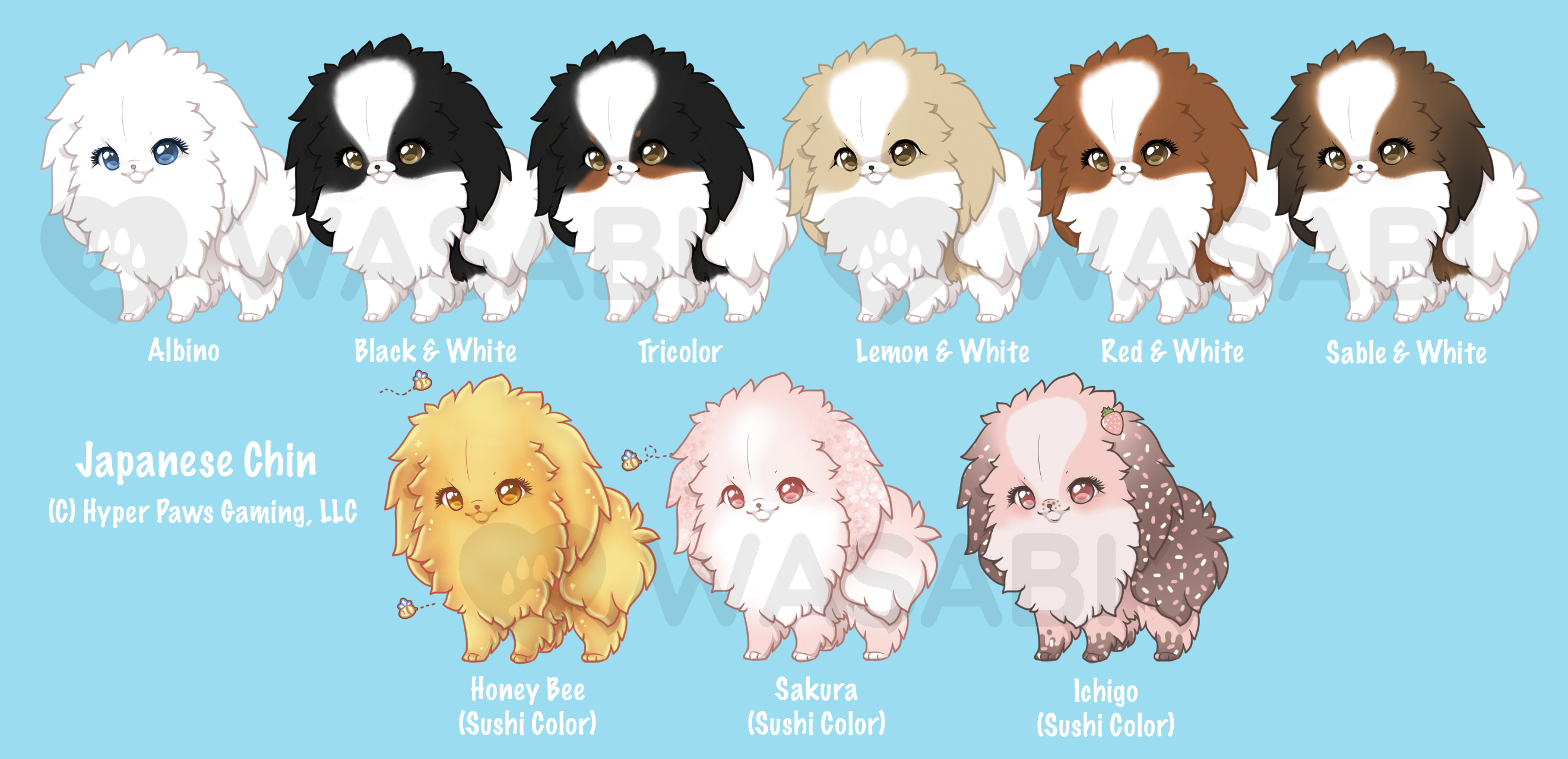 Japanese chin colors best sale red & white