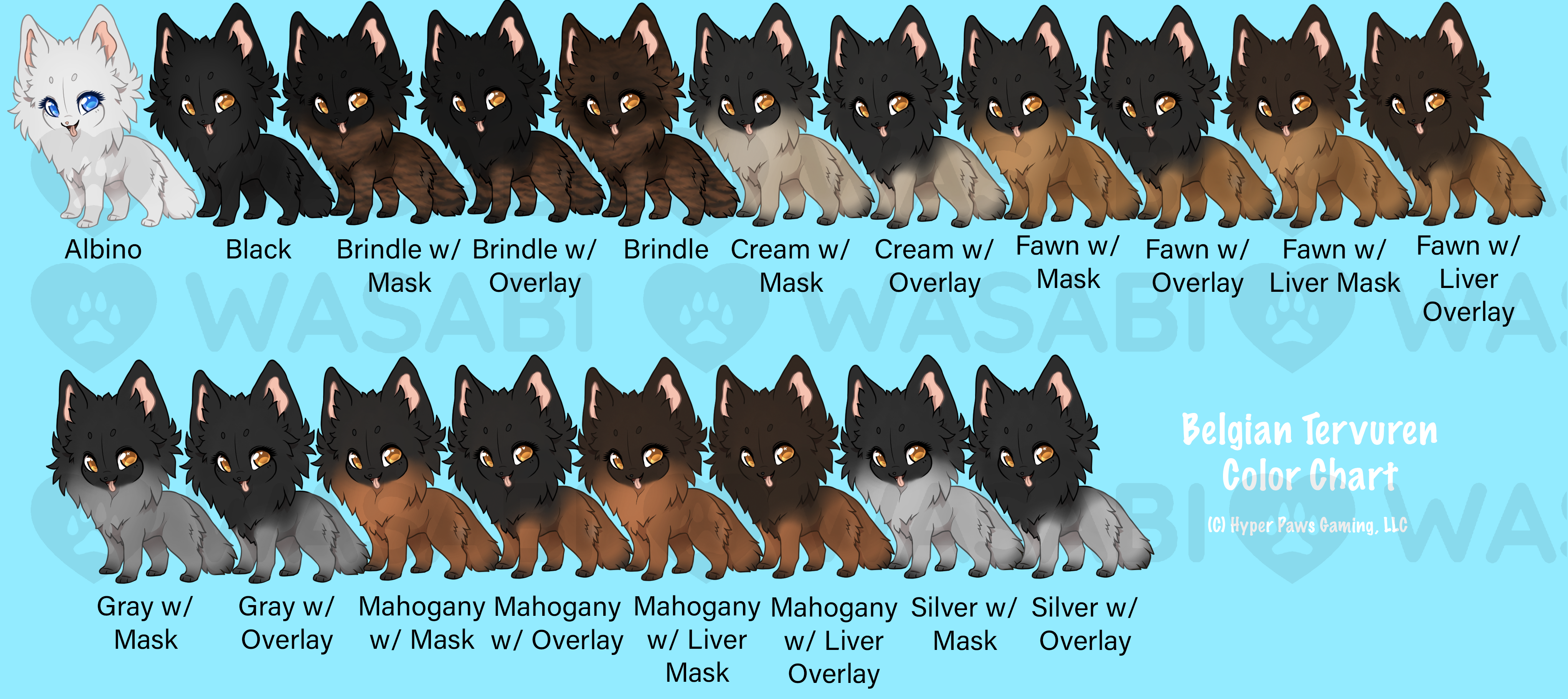 Tervuren colors fawn clearance & liver
