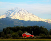 Mountrainier