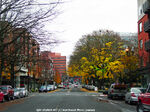 Late fall in downtown Vancouver.  AJM STUDIOS Northwest Photo Journey photo.