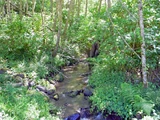 Pigeon Creek Number 2