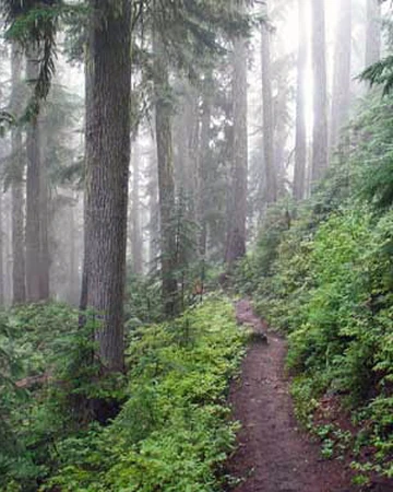 Mount Baker Snoqualmie National Forest Washington State Wiki Fandom