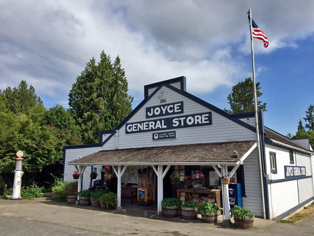 Joyce Washington State Wiki Fandom