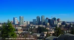 Bellevue's skyline from Somerset Hill