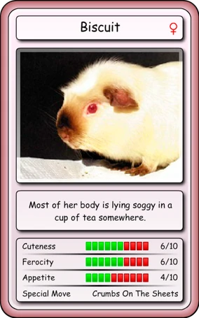 Piggymon | Wasted youth Wiki | Fandom