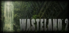 Ccard wasteland2