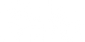 PnP Attribute Charisma