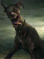 Mutated dog pre-release concept art