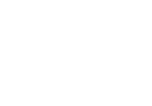 PnP Attribute Awareness