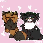 Użytkownik:Lynchies