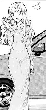 Not Shown: Fan Service . . 