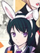 Yuri's Eyes as depicted on the cover of Volume 13