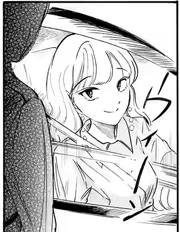 "What's the ossifer problem?"