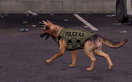 K-9.jpg (5 kB) Unidade K-9