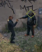 Rabbitbedbug.png (117 kB)