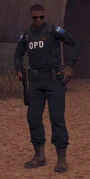 Outro policial de colete do DPO.