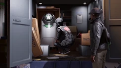 Оригинальный вид