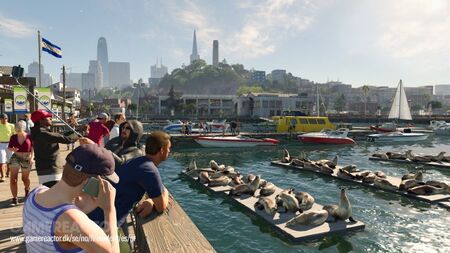 Coit tower