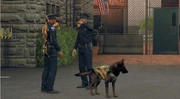 A pair of police officers along with their K9 in Silicon Valley.
