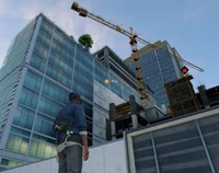  looking up at a Crane