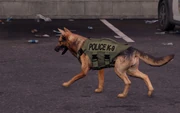 Police K-9 Unit.