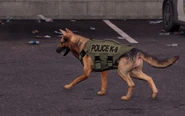 K-9 Unit.