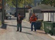 Two Viceroys on guard