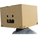 Plain Cardboard Box Mask