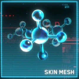 Skin Mesh
