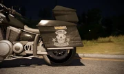 Another logo on the Chopper Cruiser.