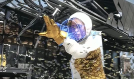 Legion-beekeeper-876x520