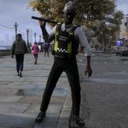 A male constable wearing a custodian helmet