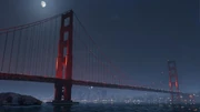 Seen at night.